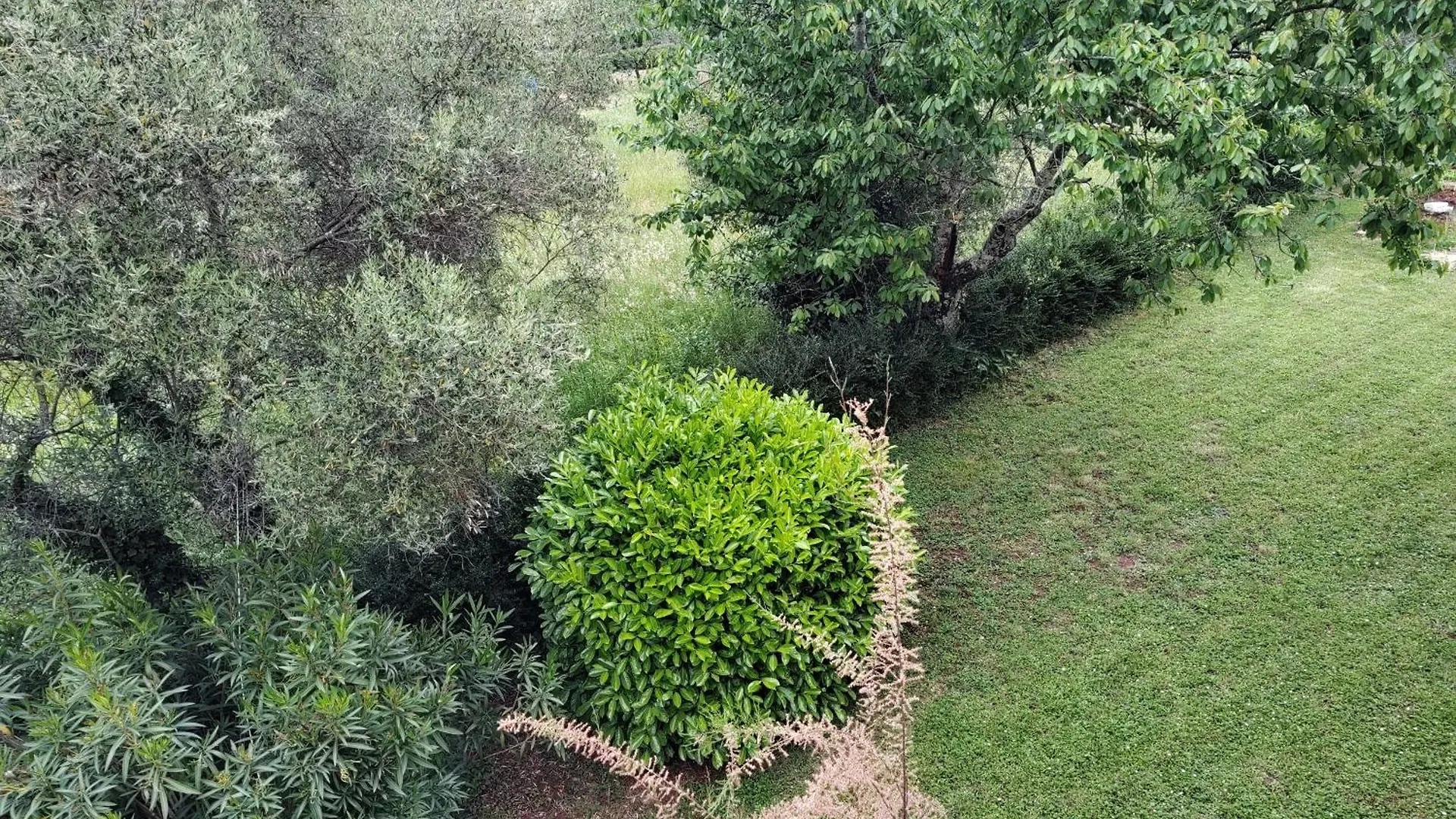 Spacious Apartment Quadria Near Motovun Karojba
